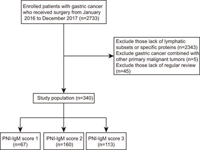 Combined with prognostic nutritional index and IgM for predicting the clinical outcomes of gastric cancer patients who received surgery